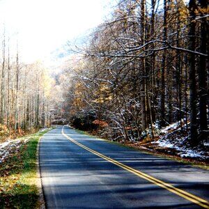 Meet your Posher, Shelley